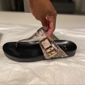 Slides or Flip Flops